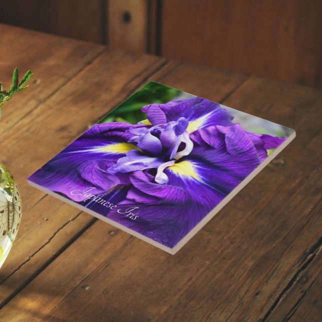 Azulejo De Cerâmica Íris Japonesa Roxa Floral em Flor (In Situ)