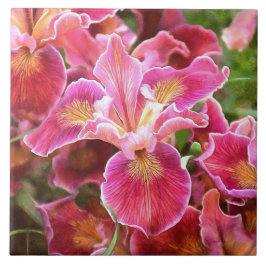 Azulejo De Cerâmica Íris Rosa Laranja