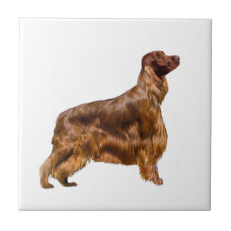 Azulejo De Cerâmica Irish Setter