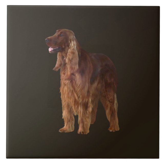 Azulejo De Cerâmica Irish Setter (Frente)