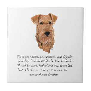Azulejo De Cerâmica Irish Terrier Lembrança - Fêmea