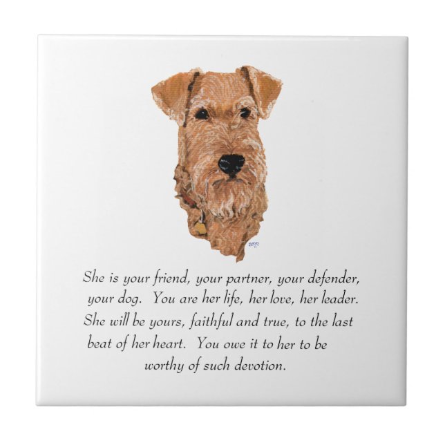 Azulejo De Cerâmica Irish Terrier Lembrança - Fêmea (Frente)
