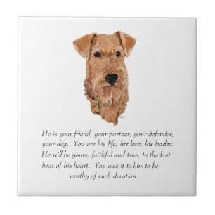Azulejo De Cerâmica Irish Terrier Lembrança - Macho