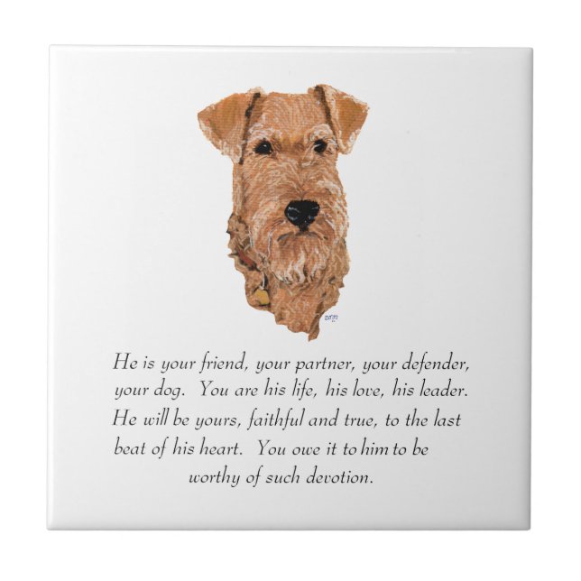 Azulejo De Cerâmica Irish Terrier Lembrança - Macho (Frente)