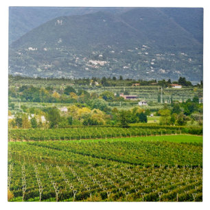 Azulejo De Cerâmica Itália, Lago de Garda. As margens do Lago de Garda