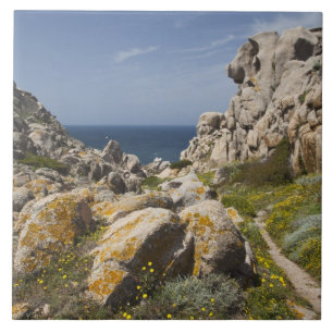Azulejo De Cerâmica Itália, Sardenha, Santa Teresa Gallura. Capo 2