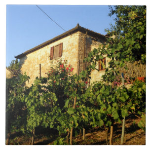 Azulejo De Cerâmica Itália, Toscana, Greve. Cenas de vinho no final do