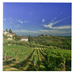 Azulejo De Cerâmica Itália, Toscana, Greve. Os vinhedos de Castello