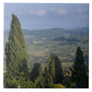 Azulejo De Cerâmica Itália, Toscana, Montepulciano. Vista da