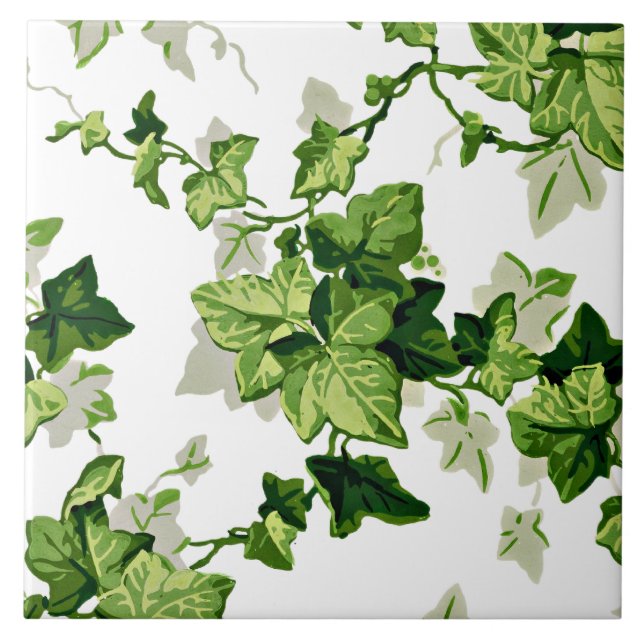 Azulejo De Cerâmica Ivy Leaves (Frente)