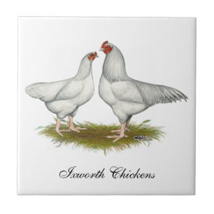 Azulejo De Cerâmica Ixworth Chickens