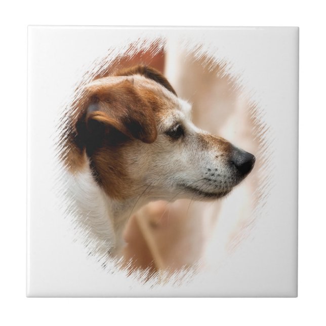 AZULEJO DE CERÂMICA  JACK RUSSELL TERRIER DOG (Frente)