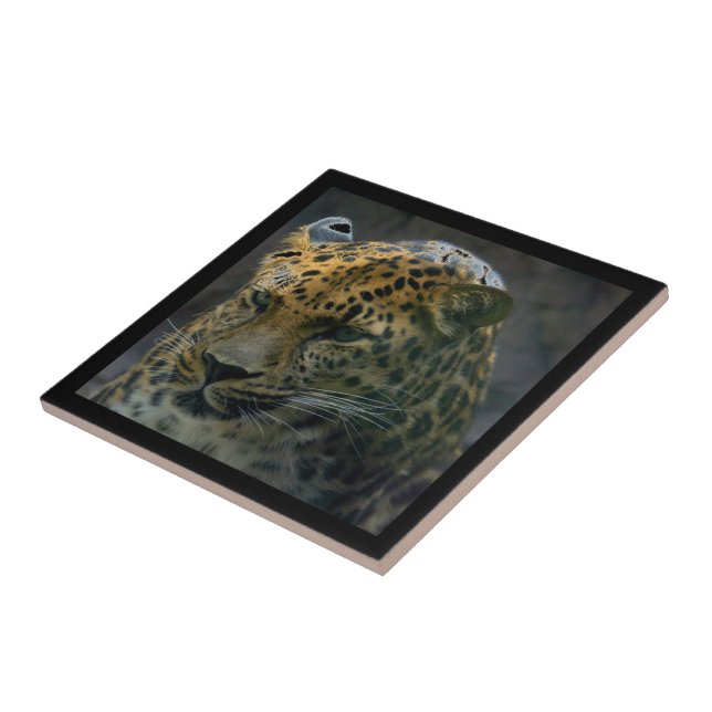 Azulejo De Cerâmica Jaguar (Lateral)