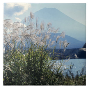 Azulejo De Cerâmica Japão, Honshu, Pref. Yamanashi, Fuji-Hakone-Izu