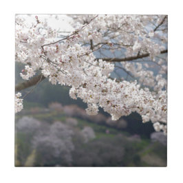 Azulejo De Cerâmica Japão Kumamoto Flor de Cerejeira