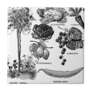 Azulejo De Cerâmica Jardim Botanicals do verão em preto & no branco
