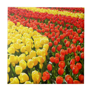 Azulejo De Cerâmica Jardim da tulipa