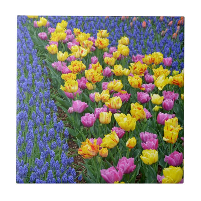 Azulejo De Cerâmica Jardim das flores das tulipas e campainhas (Frente)