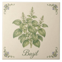 Azulejo De Cerâmica Jardim de Cozinha de Erva Manjericão Botânico Vint