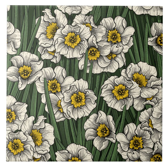 Azulejo De Cerâmica Jardim de Daffodil (Frente)