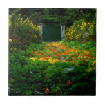Azulejo De Cerâmica Jardim de Monet, Giverny, França no outono<br><div class="desc">Foto do jardim de Claude Monet em Giverny,  França,  em setembro,  com uma mostra de náuseas amarelas e laranja.</div>