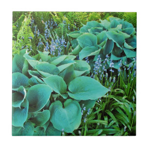 Azulejo De Cerâmica Jardim de plantas com enxerto verde
