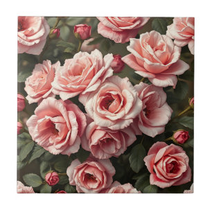 Azulejo De Cerâmica Jardim de Rosas Rosa Mal-humorado