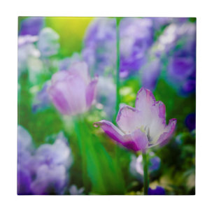 Azulejo De Cerâmica Jardim de tulipas, Giverny, França