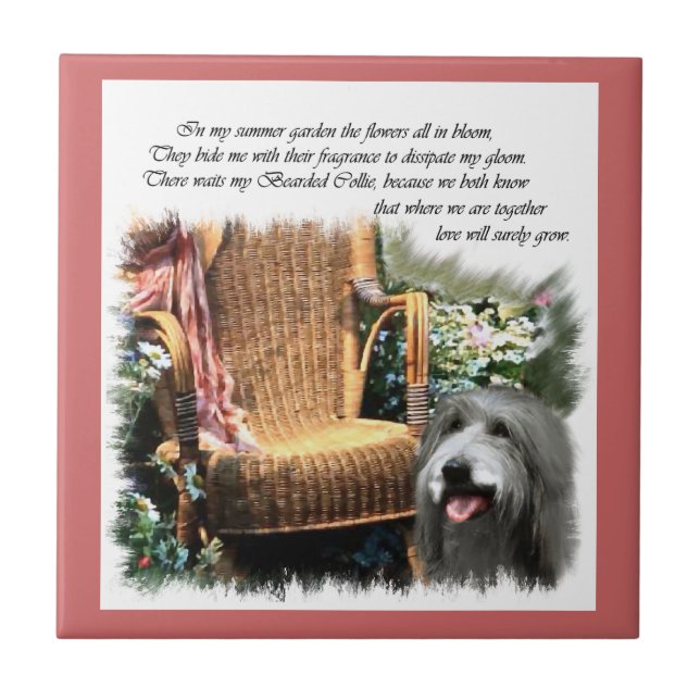 Azulejo De Cerâmica Jardim de Verão Collie (Frente)