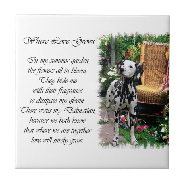 Azulejo De Cerâmica Jardim de Verão da Dalmácia (Frente)