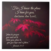 Jeremiah 29:11 Porque eu sei os planos que tenho p