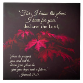 Azulejo De Cerâmica Jeremiah 29:11 Porque eu sei os planos que tenho p