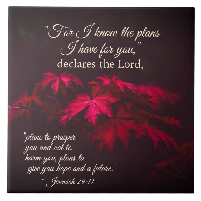 Azulejo De Cerâmica Jeremiah 29:11 Porque eu sei os planos que tenho p (Frente)