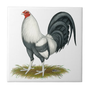 Azulejo De Cerâmica Jogo Americano Silver Blue Gamecock