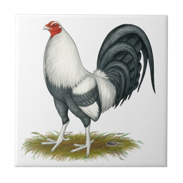 Azulejo De Cerâmica Jogo Americano Silver Blue Gamecock (Frente)