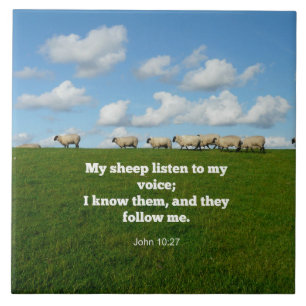 Azulejo De Cerâmica John 10:27, verso das escrituras,