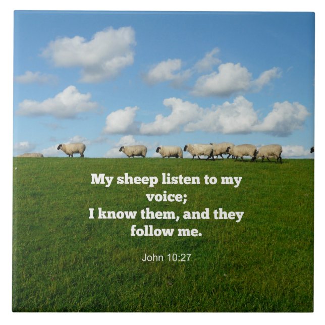 Azulejo De Cerâmica John 10:27, verso das escrituras, (Frente)