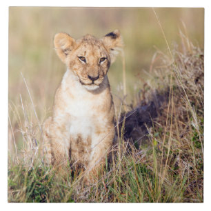 Azulejo De Cerâmica Jovem