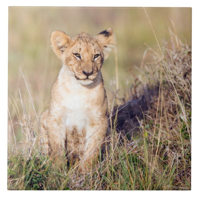 Azulejo De Cerâmica Jovem (Frente)