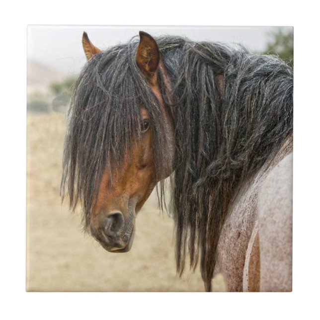 Azulejo De Cerâmica Juba do cavalo (Frente)