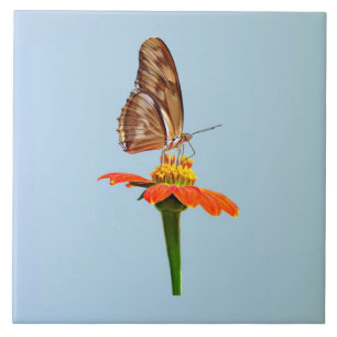 Azulejo De Cerâmica Julia Butterfly em Zinnia