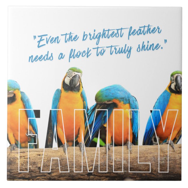 Azulejo De Cerâmica "Juntos Nós Brilhamos" (Frente)