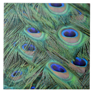 Azulejo De Cerâmica Kauai Peacock Feather