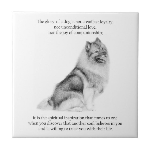 Azulejo De Cerâmica Keeshond (Frente)