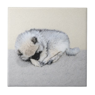 Azulejo De Cerâmica Keeshond Dormindo Puppy Pintura Original
