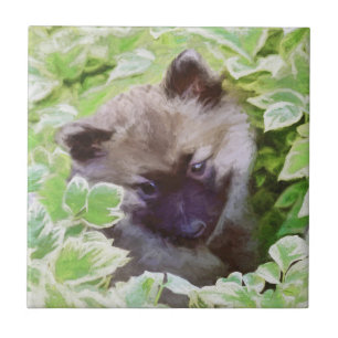 Azulejo De Cerâmica Keeshond Puppy na Pintura Original