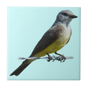 Azulejo De Cerâmica Kingbird B45 ocidental