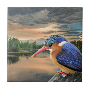 Azulejo De Cerâmica Kingfisher No Sunset