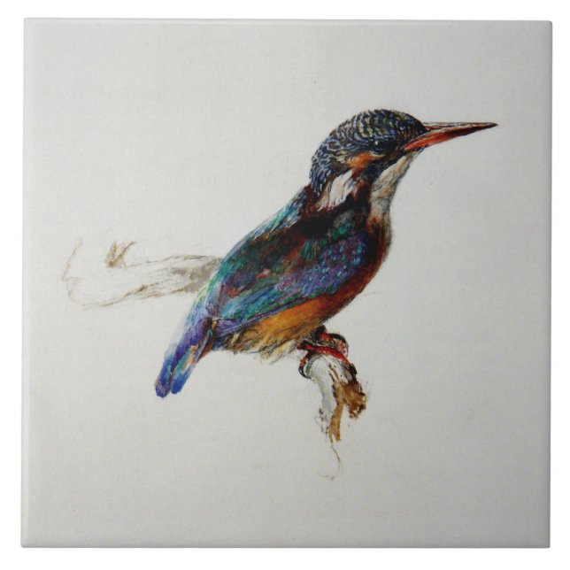 Azulejo De Cerâmica Kingfisher (por John Ruskin) (Frente)