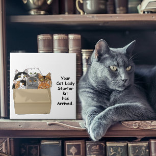 Azulejo De Cerâmica Kit Inicial de Gata Engraçada Humor Branco
